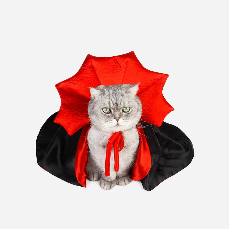 Cute Halloween Pet Costumes