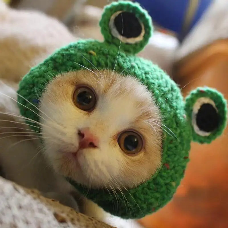 Cute Refined Cat Hat