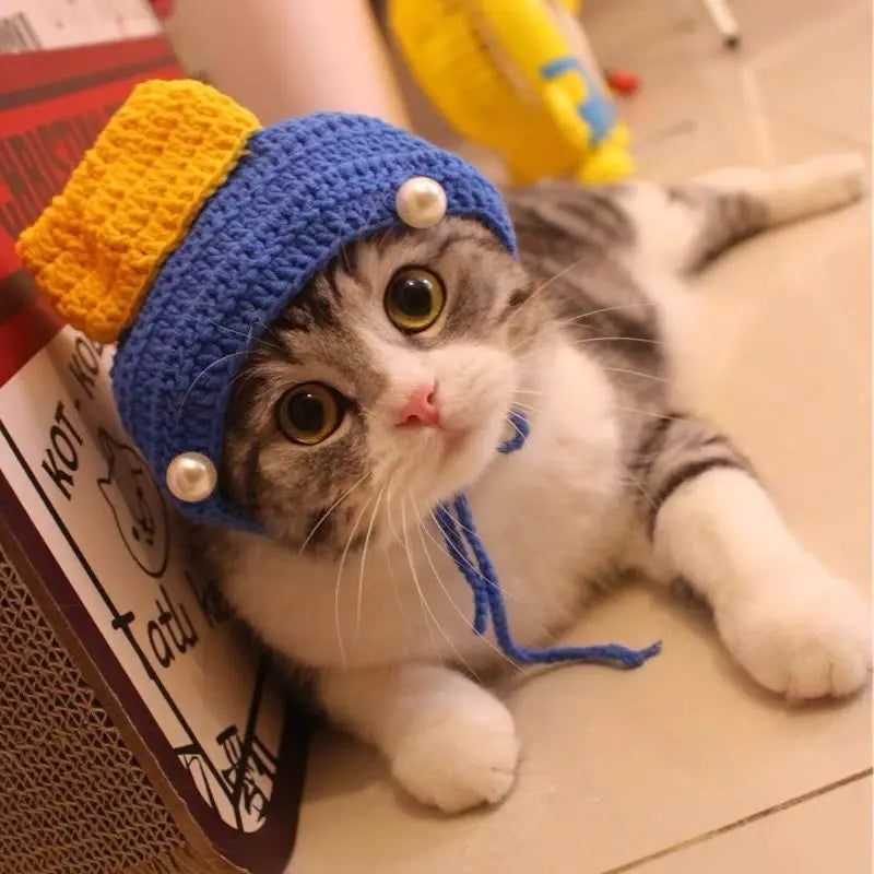 Cute Refined Cat Hat