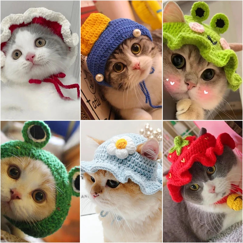 Cute Refined Cat Hat