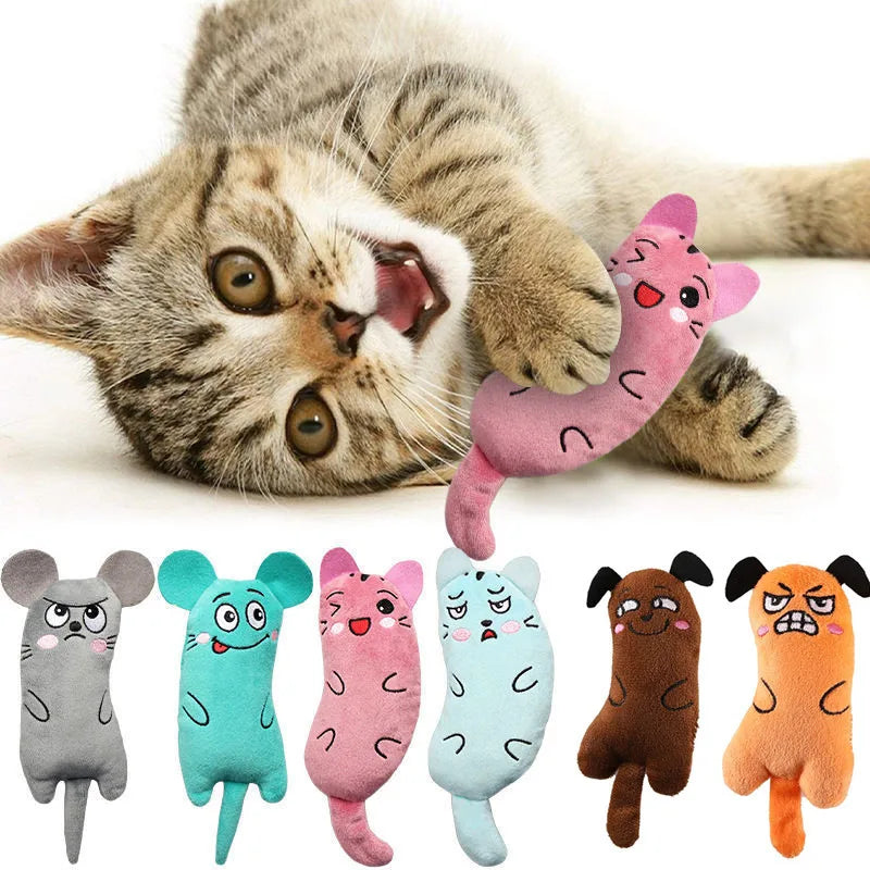 Premium Cute Cat Toys