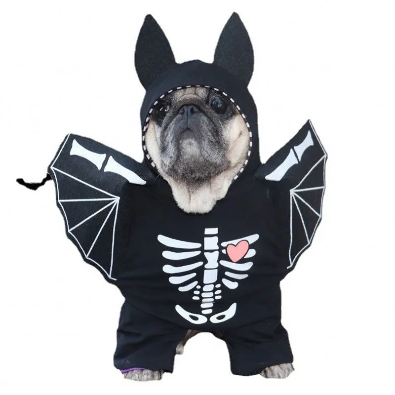 Funny Pet Clothes