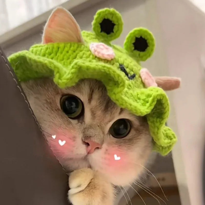 Cute Refined Cat Hat