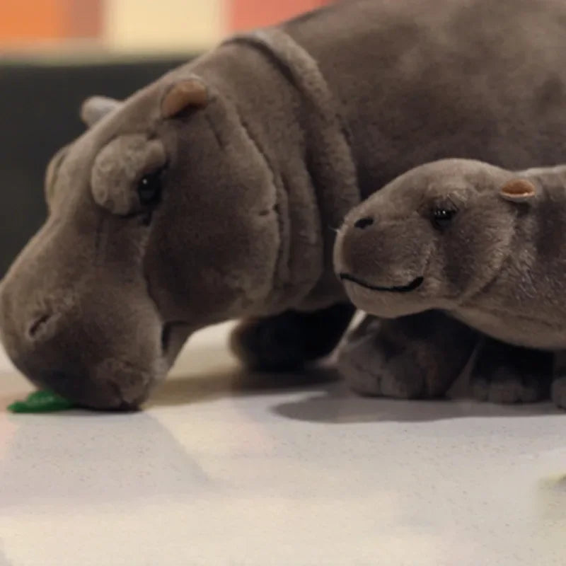 Moo Deng Hippo - Internet's Favourite Baby Pygmy Hippo