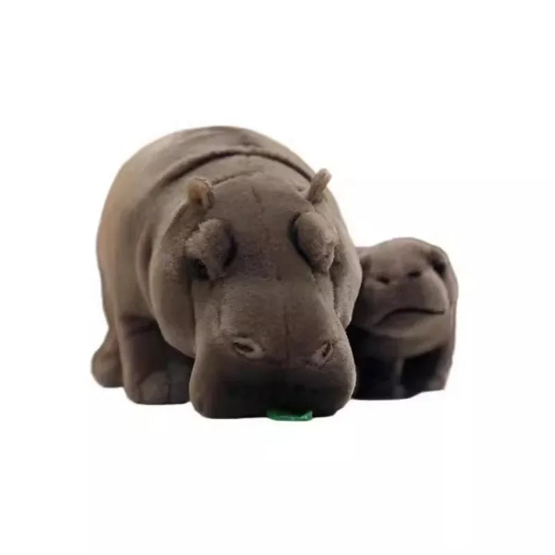 Moo Deng Hippo - Internet's Favourite Baby Pygmy Hippo